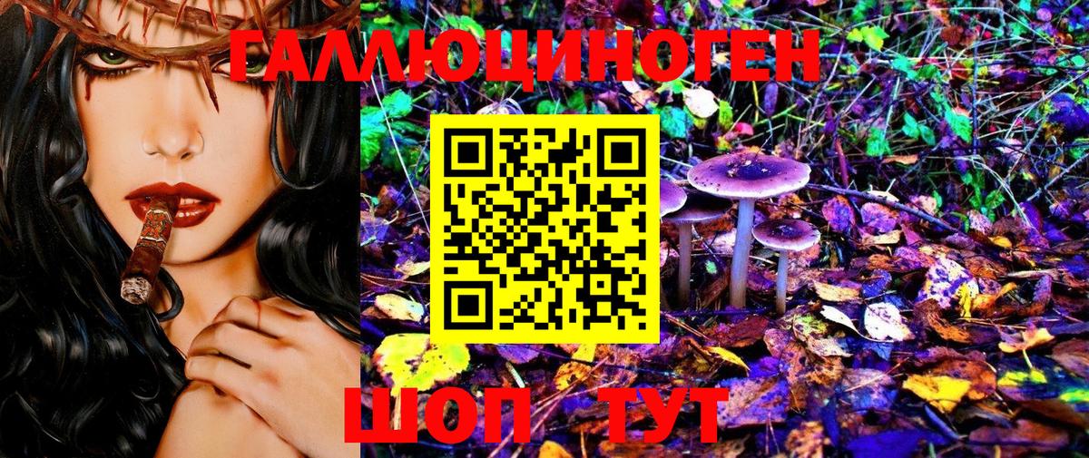 Шелехов  Псилоцибиновые грибы Magic Shrooms  Вход с VPN 